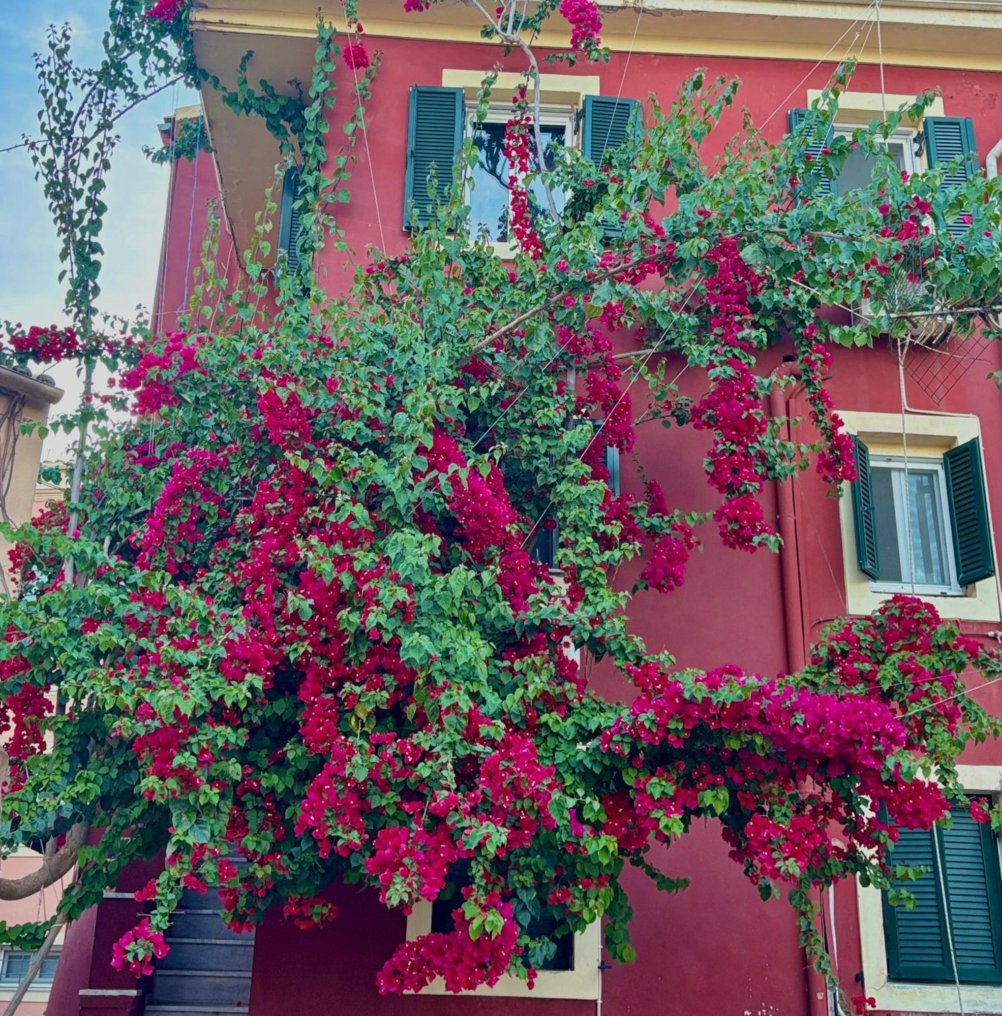 Corfu Port Home Extérieur photo